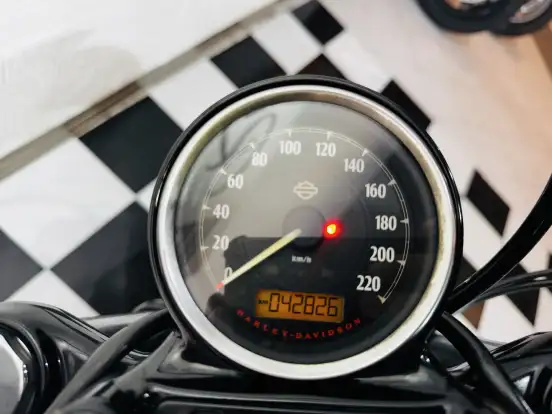 HARLEY-DAVIDSON-SPORTSTER XL 1200 X-2015