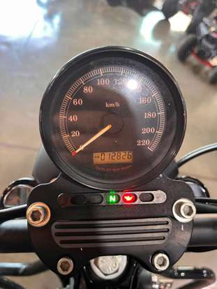 HARLEY-DAVIDSON-SPORTSTER XL 883 R-2008