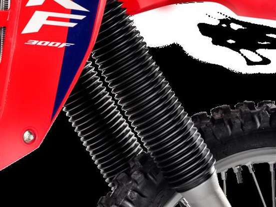 HONDA-CRF 300F HONDA-CRF 300F-2026