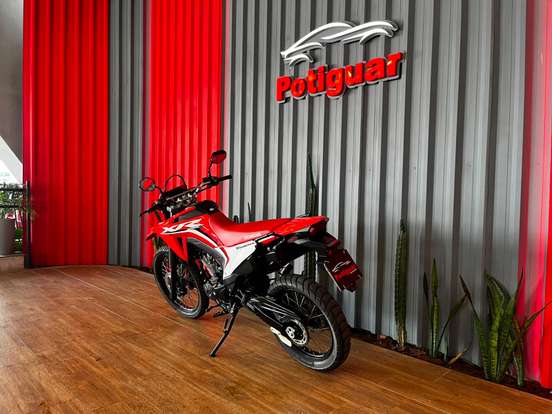 HONDA-XR 300L TORNADO HONDA-XR 300L TORNADO-2024