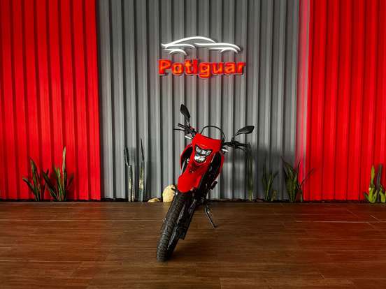 HONDA-XR 300L TORNADO-2024
