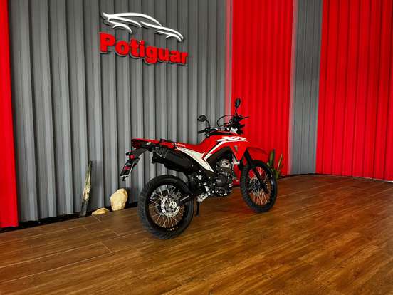 HONDA-XR 300L TORNADO-2024