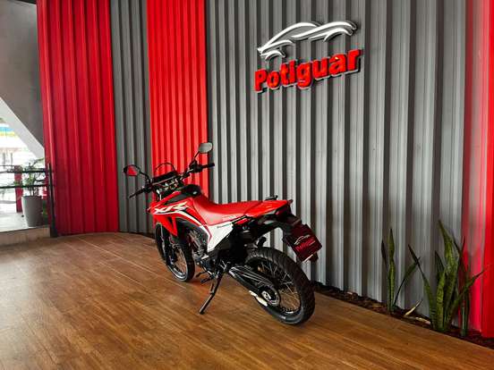 HONDA-XR 300L TORNADO-2024