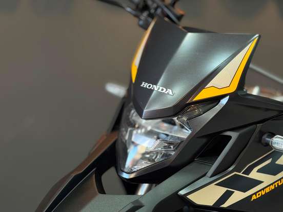 HONDA-XRE 300 ADVENTURE HONDA-XRE 300 ADVENTURE-2022