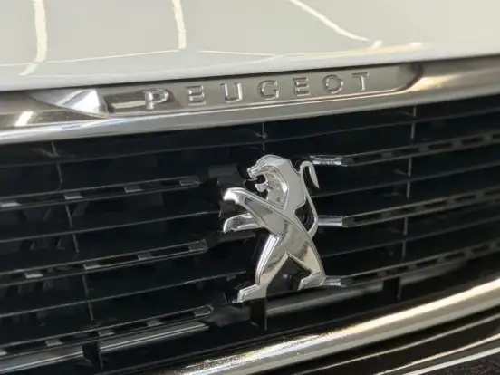 PEUGEOT-308-1.6 ALLURE THP 16V FLEX 4P AUTOMÁTICO PEUGEOT-308-2016