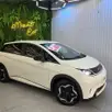 BYD DOLPHIN 44,9 KW ELÉTRICO GS BYD DOLPHIN 44,9 KW ELÉTRICO GS
