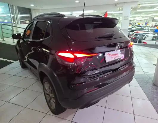 FIAT-PULSE-2024
