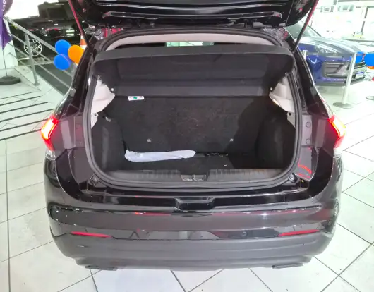 FIAT-PULSE-2024
