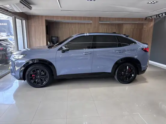 GWM-HAVAL H6-1.5 PHEV AWD E-TRACTION GWM-HAVAL H6-2023
