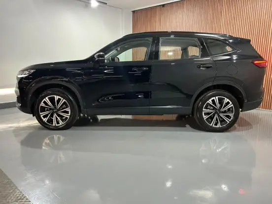 GWM-HAVAL H6-1.5 PHEV19 E-TRACTION GWM-HAVAL H6-2024