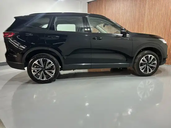 GWM-HAVAL H6-2024