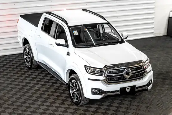 GWM-POER P30-2025