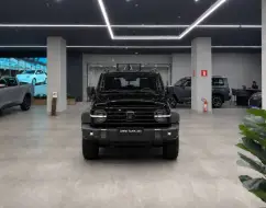 GWM TANK 300 2.0 HI4-T PHEV FLEX 4X4 9HAT GWM TANK 300 2.0 HI4-T PHEV FLEX 4X4 9HAT