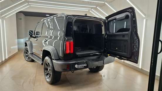GWM-TANK 300-2025