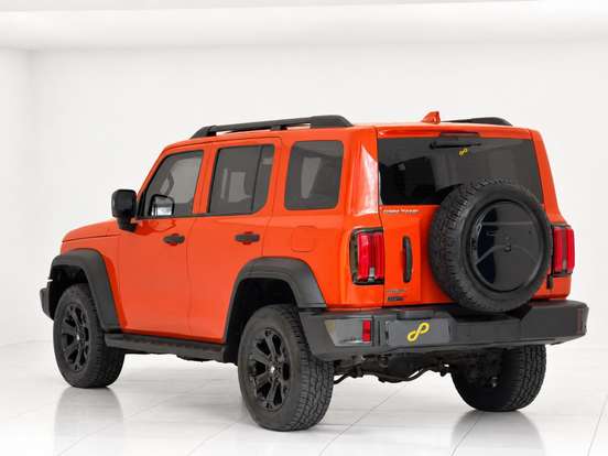 GWM-TANK 300-2025