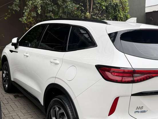 GWM-HAVAL H6-1.5 PHEV34 AWD E-TRACTION GWM-HAVAL H6-2024