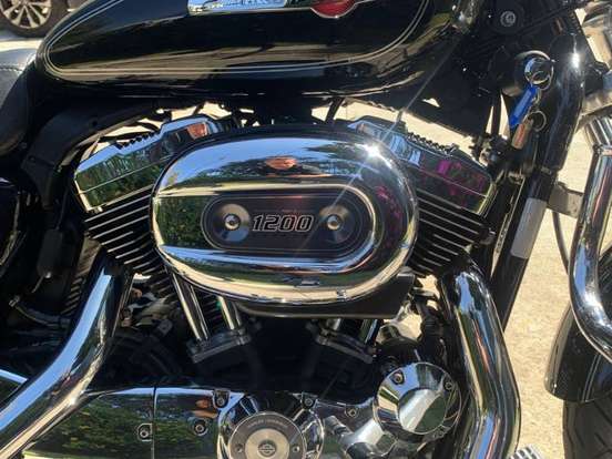 HARLEY-DAVIDSON-SPORTSTER 1200 CUSTOM CA LIMITED HARLEY-DAVIDSON-SPORTSTER 1200 CUSTOM CA LIMITED-2013