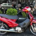 HONDA C 100 BIZ HONDA C 100 BIZ