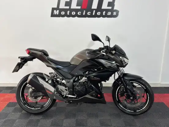 KAWASAKI-Z300 KAWASAKI-Z300-2015