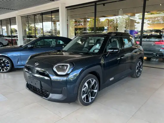 MINI-ACEMAN-2025