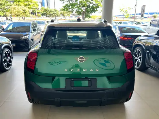 MINI-ACEMAN-2025