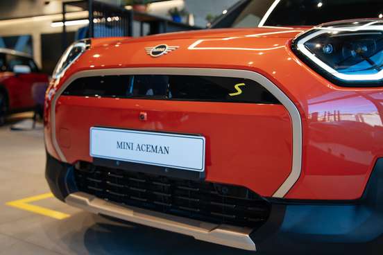 MINI-ACEMAN-2025