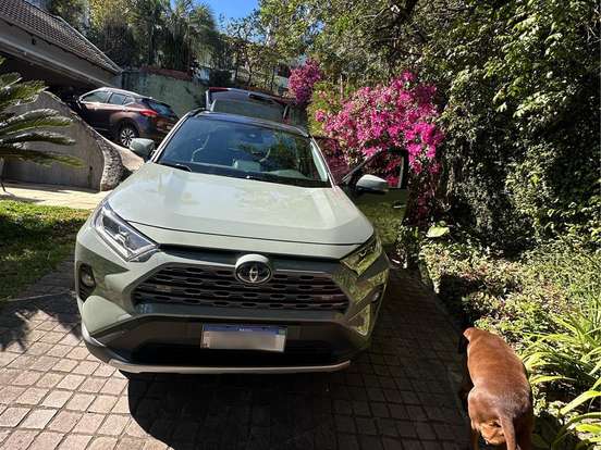 TOYOTA-RAV4-2.5 VVT-IE HYBRID SX AWD CVT TOYOTA-RAV4-2019