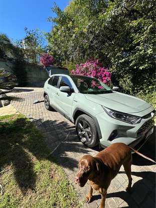 TOYOTA-RAV4-2019
