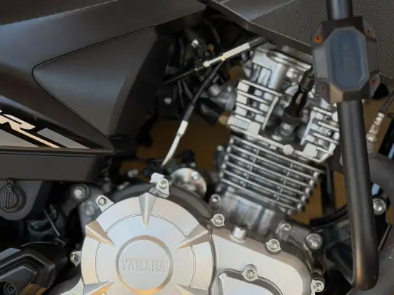 YAMAHA-FACTOR YBR 125I ED YAMAHA-FACTOR YBR 125I ED-2023