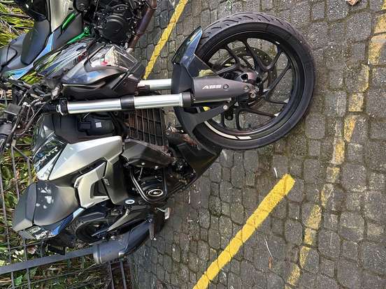 BAJAJ-DOMINAR 250 BAJAJ-DOMINAR 250-2025