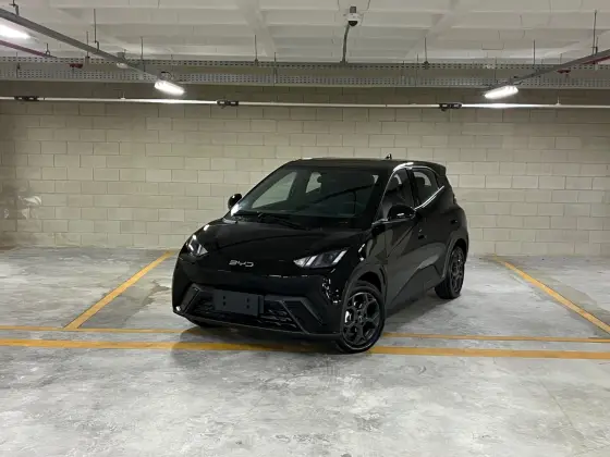 BYD DOLPHIN MINI 38 KW ELÉTRICO GS