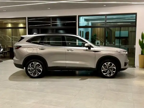 GWM-HAVAL H6-1.5 PHEV34 AWD E-TRACTION GWM-HAVAL H6-2025