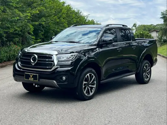 GWM-POER P30-2025