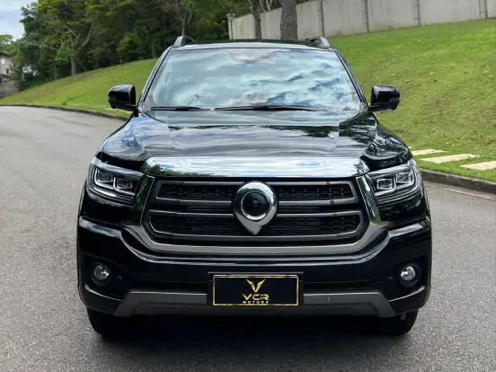 GWM-POER P30-2025