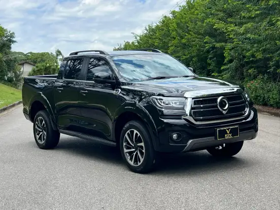 GWM-POER P30-2025