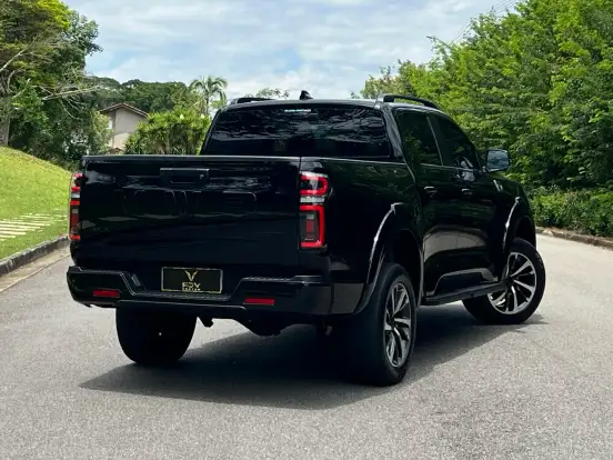GWM-POER P30-2025