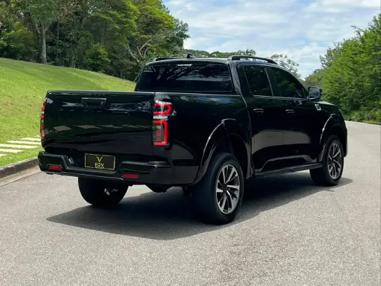 GWM-POER P30-2025