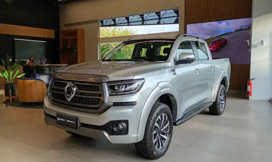 GWM-POER P30-2025