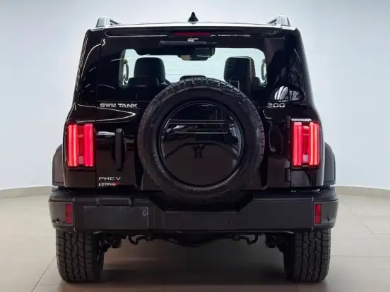 GWM-TANK 300-2.0 HI4-T PHEV FLEX 4X4 9HAT GWM-TANK 300-2026
