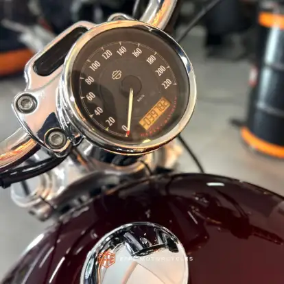 HARLEY-DAVIDSON-SPORTSTER 1200 CUSTOM-2015