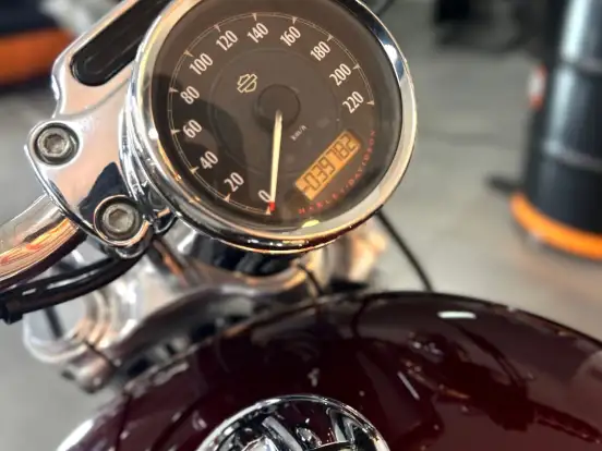 HARLEY-DAVIDSON-SPORTSTER 1200 CUSTOM HARLEY-DAVIDSON-SPORTSTER 1200 CUSTOM-2015