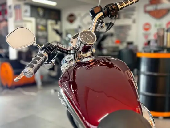 HARLEY-DAVIDSON-SPORTSTER 1200 CUSTOM HARLEY-DAVIDSON-SPORTSTER 1200 CUSTOM-2015
