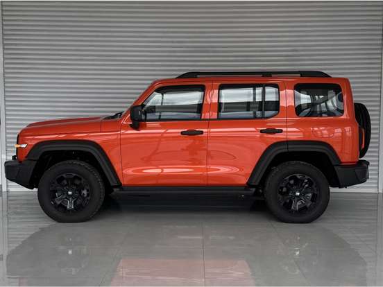 GWM-TANK 300-2025