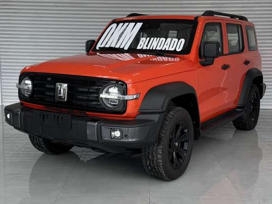 GWM-TANK 300-2025