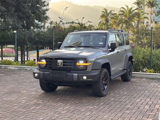 GWM-TANK 300-2026