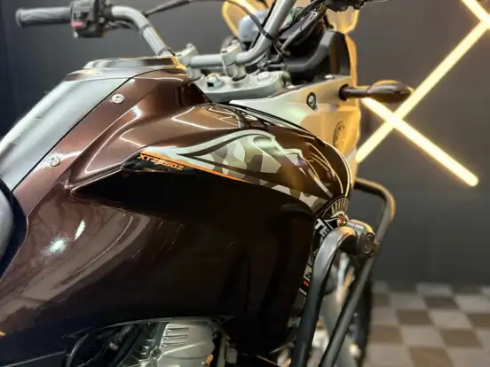 YAMAHA-XTZ 250 TÉNÉRÉ BLUEFLEX YAMAHA-XTZ 250 TÉNÉRÉ BLUEFLEX-2019
