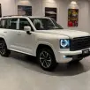 GWM HAVAL H9 2.4 TURBO DIESEL EXCLUSIVE 4X4 AUTOMÁTICO GWM HAVAL H9 2.4 TURBO DIESEL EXCLUSIVE 4X4 AUTOMÁTICO