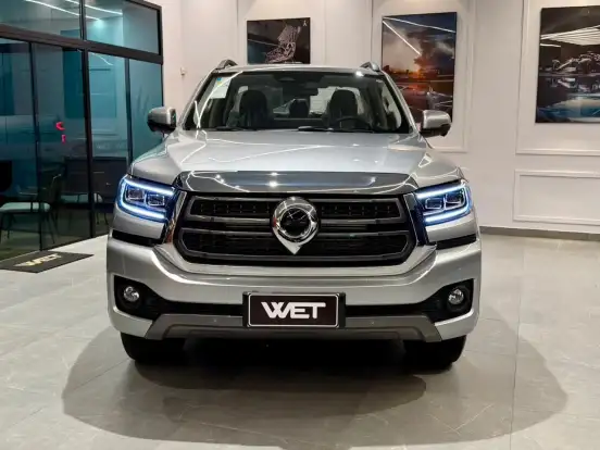 GWM-POER P30-2025