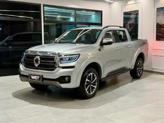 GWM-POER P30-2025