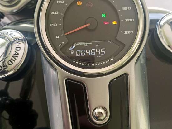 HARLEY-DAVIDSON-SOFTAIL FAT BOY HARLEY-DAVIDSON-SOFTAIL FAT BOY-2019